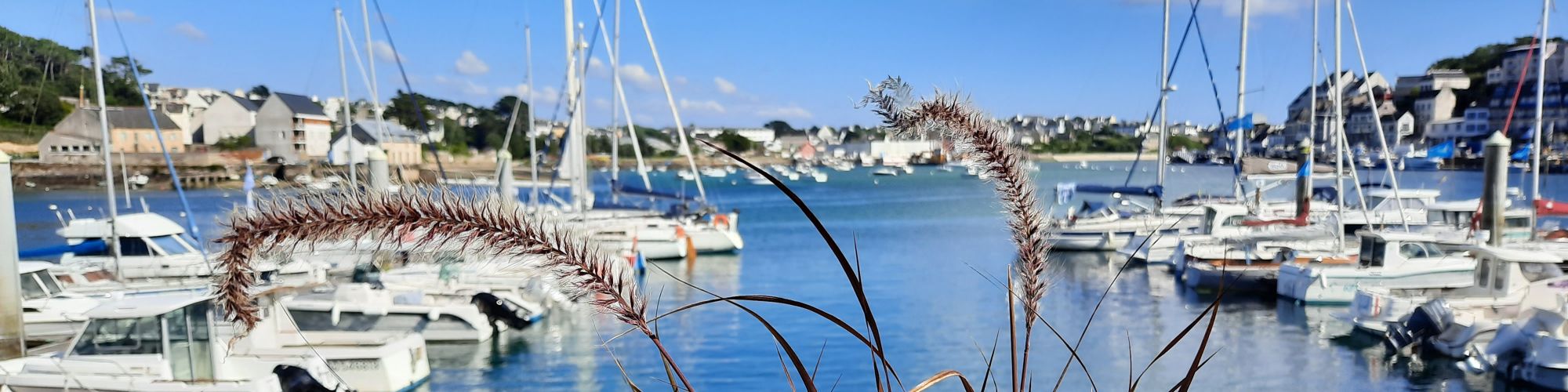 Vue du port d'Audierne et des bateaux qui y mouillent depuis l'école Pierre-Le Lec