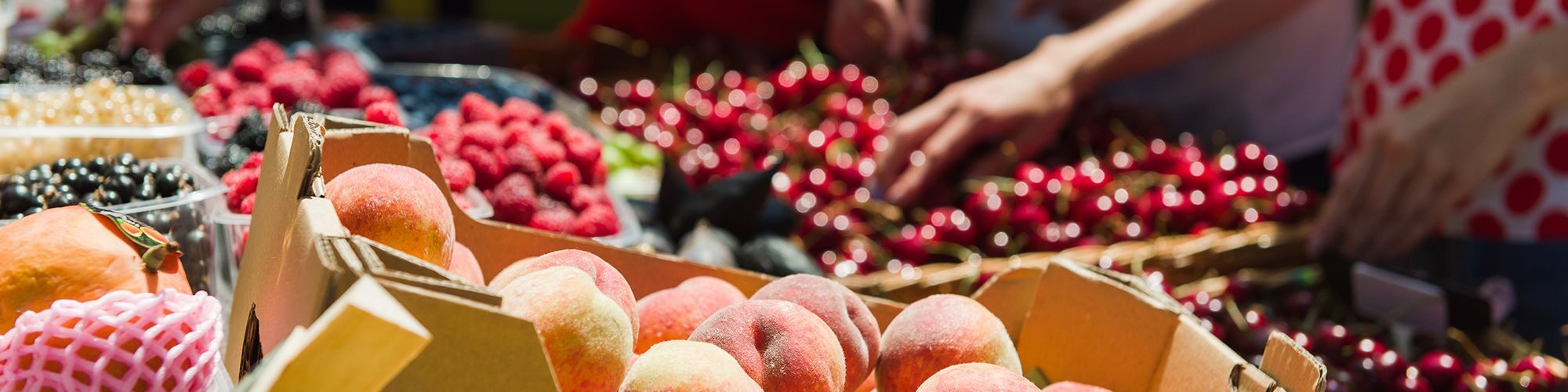 Un étale de fruits