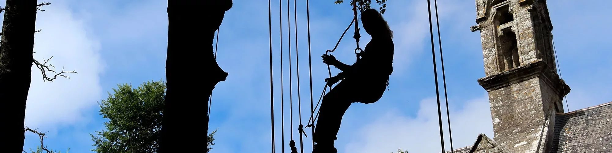 Des jeunes, suspendu en l'air via des poulies.